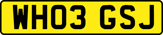 WH03GSJ