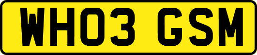 WH03GSM