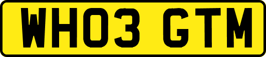 WH03GTM