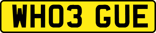 WH03GUE