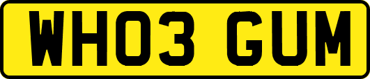 WH03GUM