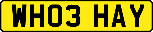 WH03HAY