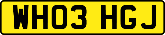 WH03HGJ