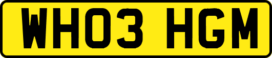 WH03HGM