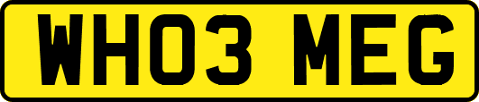 WH03MEG
