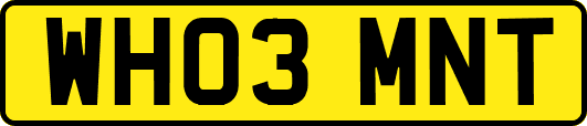 WH03MNT