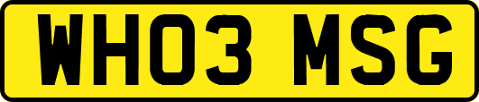 WH03MSG
