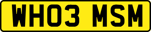 WH03MSM