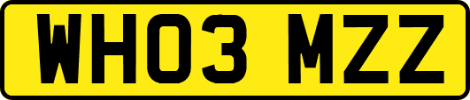 WH03MZZ