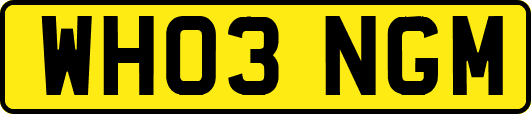 WH03NGM