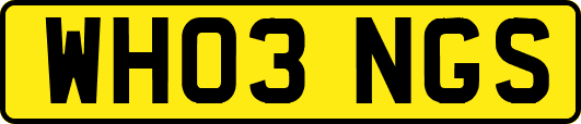 WH03NGS