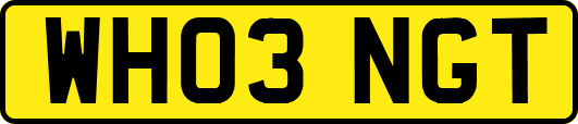 WH03NGT