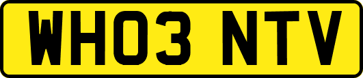 WH03NTV