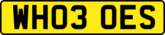 WH03OES