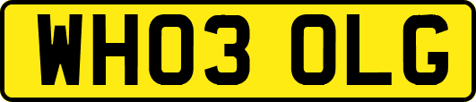 WH03OLG