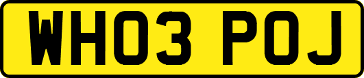 WH03POJ