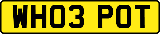 WH03POT