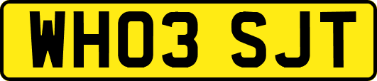 WH03SJT