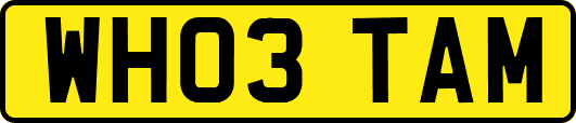 WH03TAM