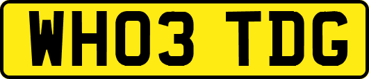WH03TDG