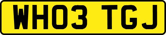 WH03TGJ