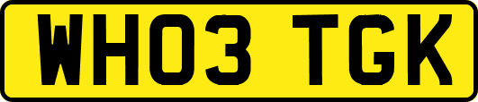 WH03TGK