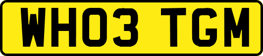 WH03TGM