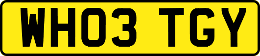WH03TGY