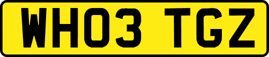 WH03TGZ