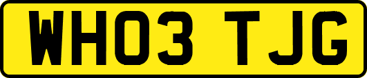 WH03TJG
