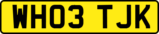 WH03TJK