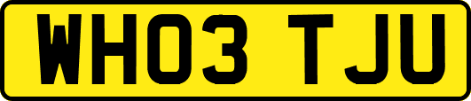 WH03TJU
