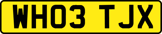 WH03TJX
