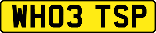 WH03TSP