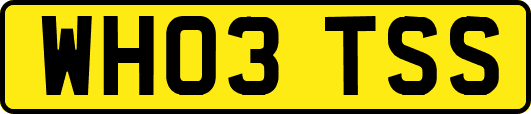 WH03TSS