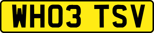 WH03TSV