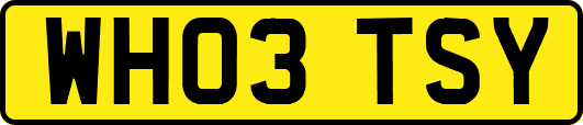 WH03TSY