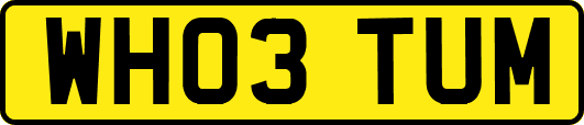 WH03TUM