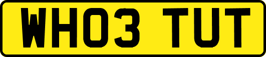 WH03TUT
