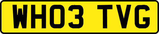 WH03TVG