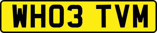 WH03TVM