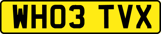 WH03TVX