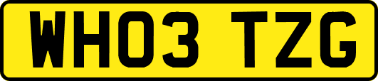 WH03TZG