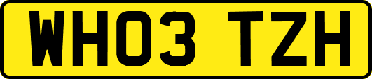 WH03TZH