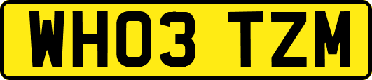 WH03TZM