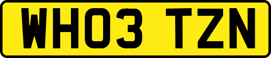 WH03TZN