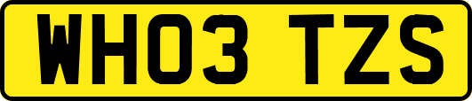 WH03TZS