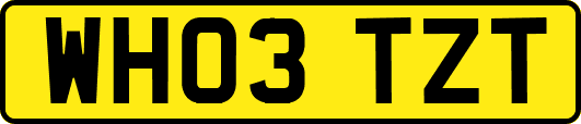WH03TZT