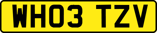 WH03TZV
