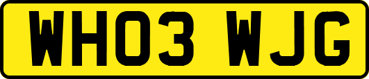 WH03WJG